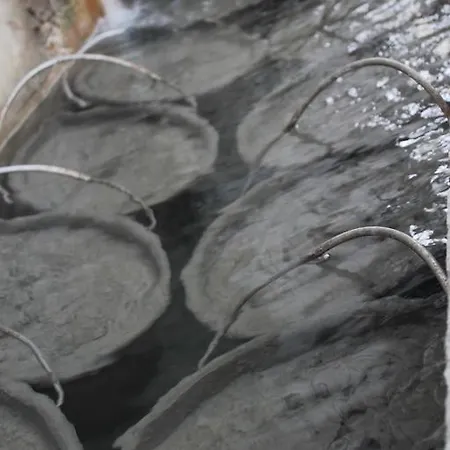 فندق Terme Pace أبانو تيرمي